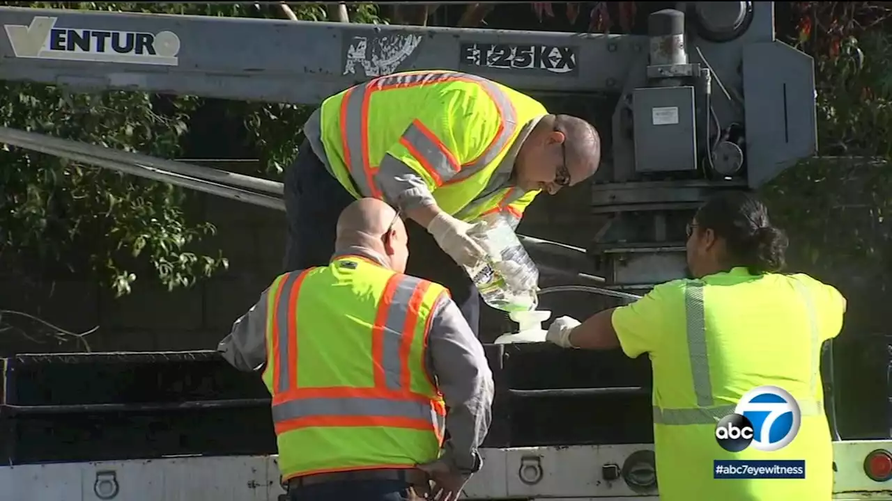 LA County crews scramble to clean up after sewage spill; several beaches remain closed