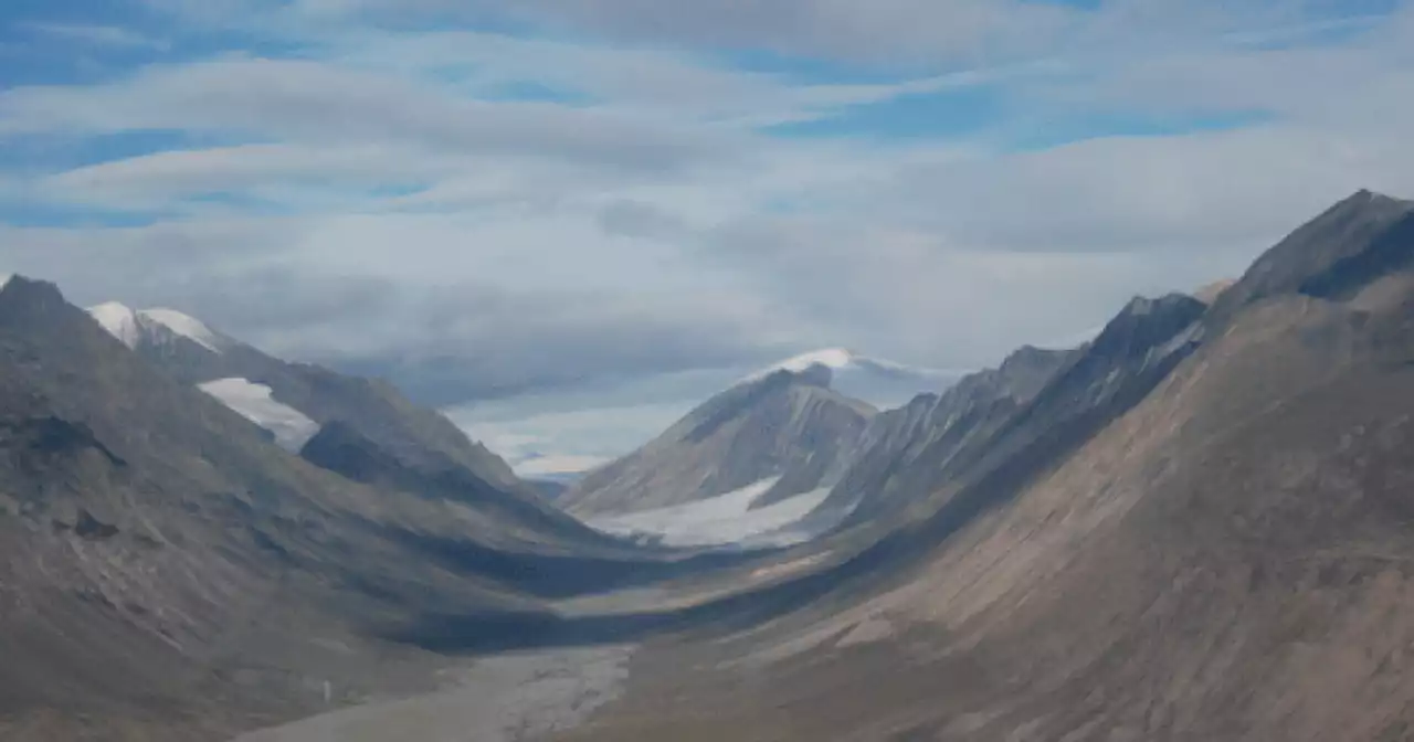 How ‘mummified’ forests tell the tale of a changing north