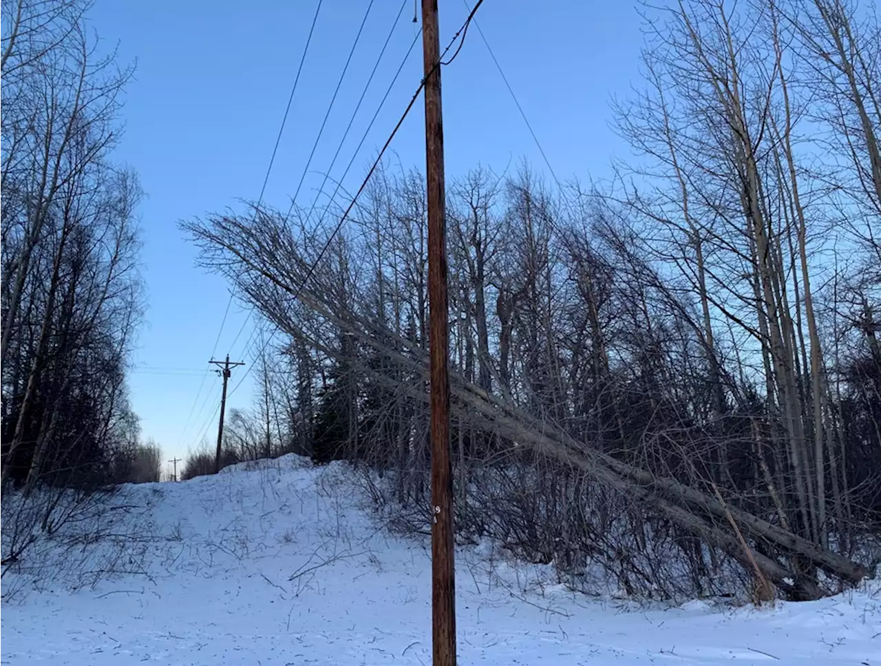 Strong winds affecting power, travel in Mat-Su