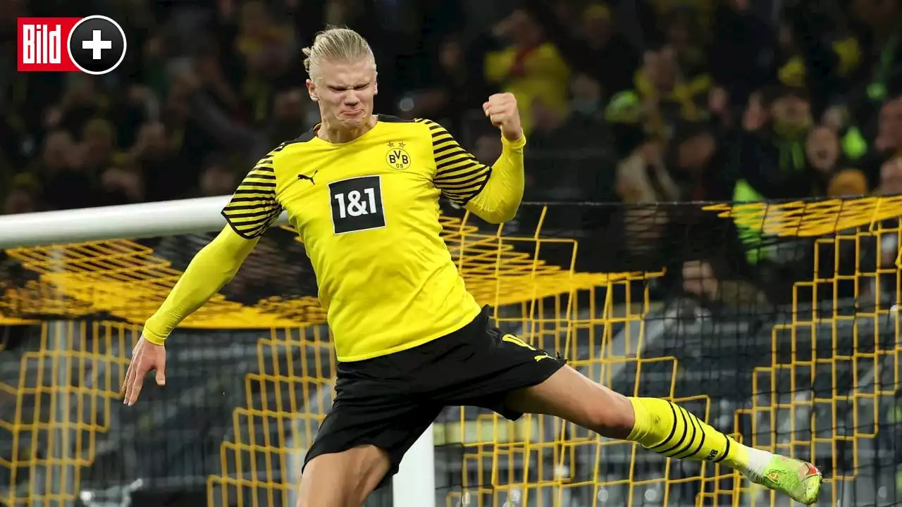 BVB: Sie mischen mit! Die Strippenzieher im Kampf um Erling Haaland