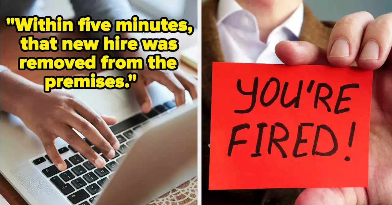 People Are Sharing Some Of The Most Cringe-Worthy Reasons Their Co-Workers Got Fired, And I'm Shaking My Head