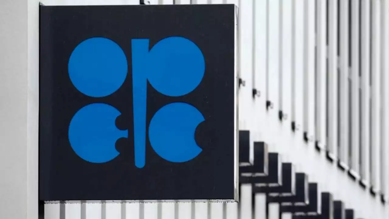 OPEC+ report sees short-lived, mild impact from Omicron variant