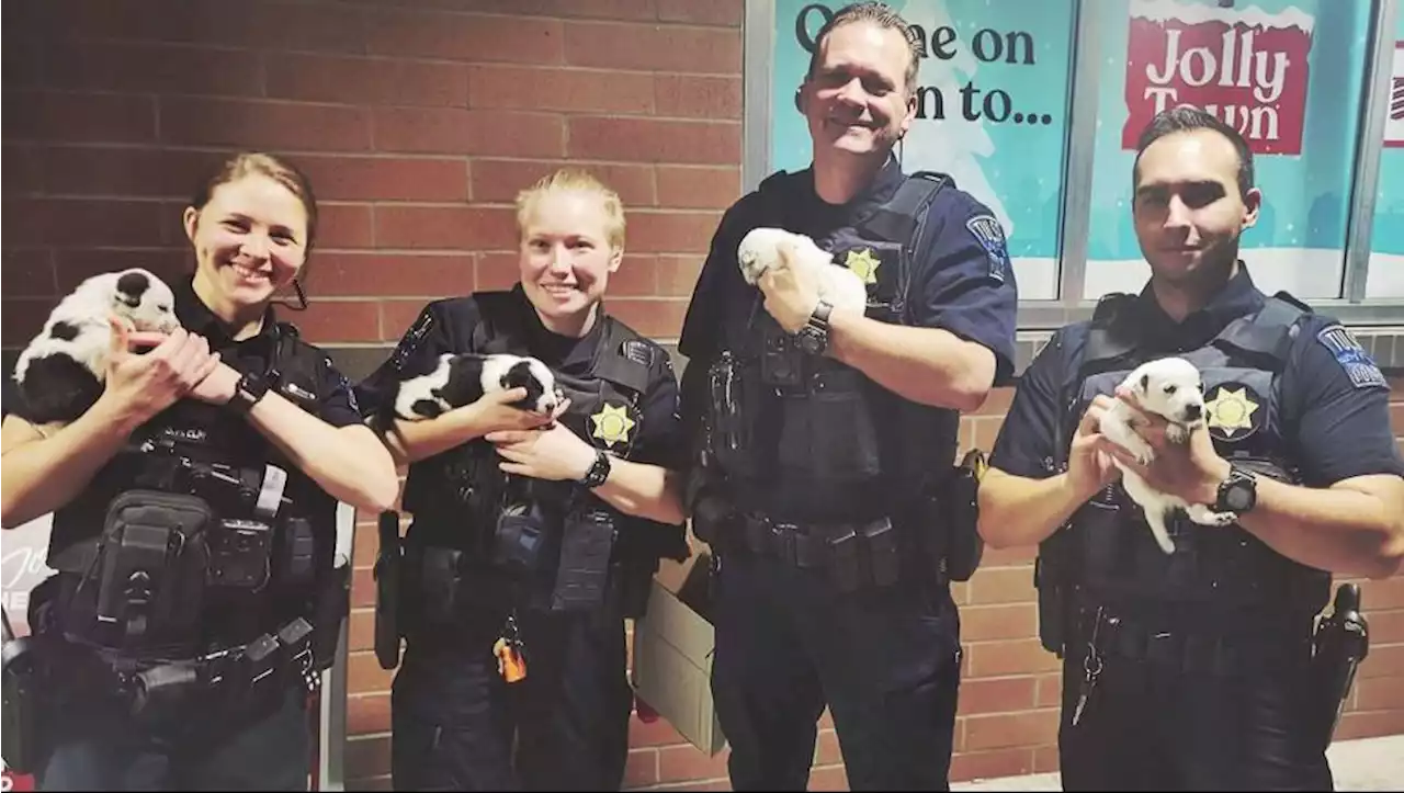 Abandoned puppies adopted by police officers who rescued them