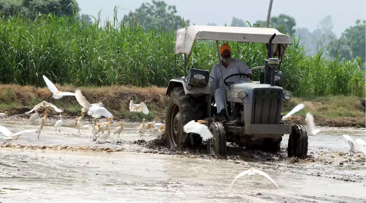 PM KISAN की 10वीं किस्त: देखें- लाभार्थियों की लिस्ट में है अपना नाम या नहीं