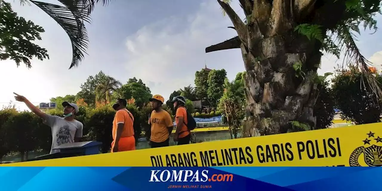 Pohon Tumbang Timpa Wisatawan yang Sedang Berenang di Tasikmalaya, 5 Orang Alami Luka