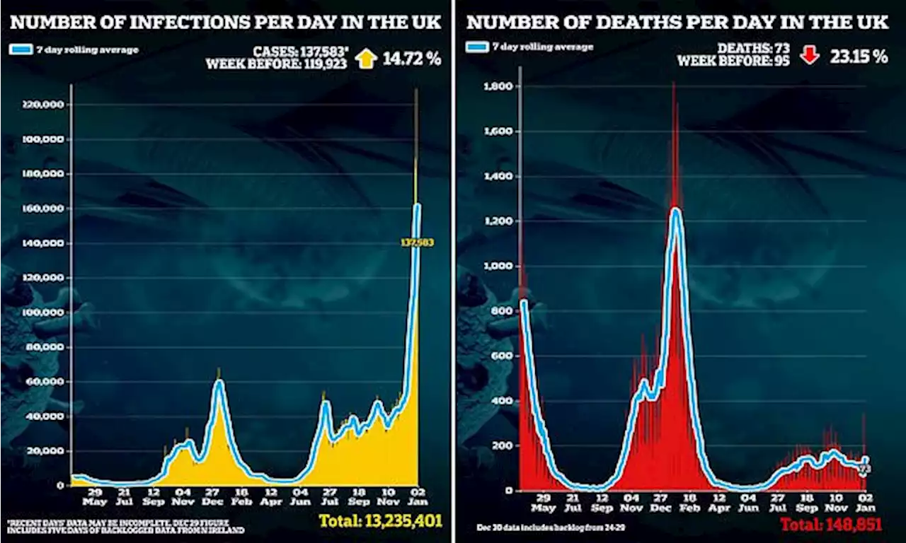 UK's Covid cases rise 14.7% week-on week and deaths remain low at 73