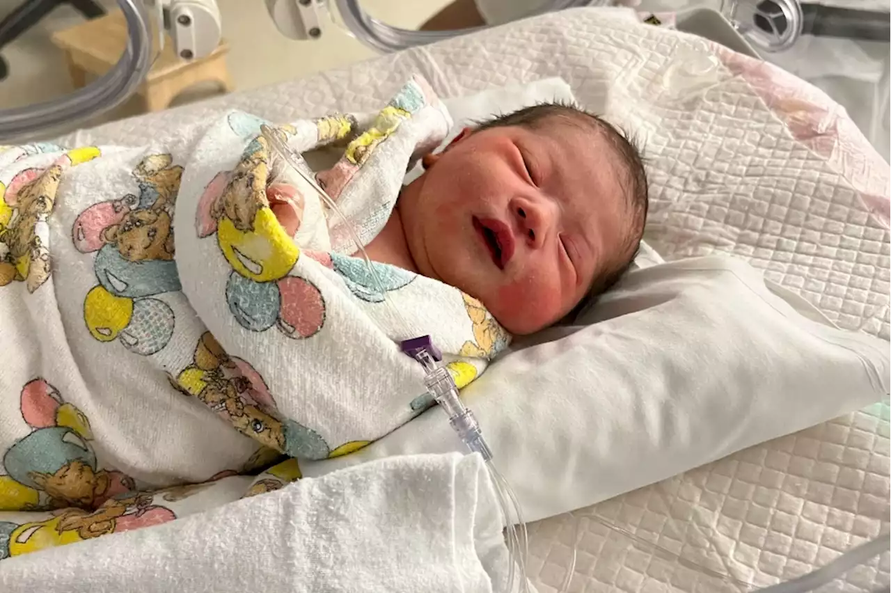 Bay Area welcomes its first babies of 2022