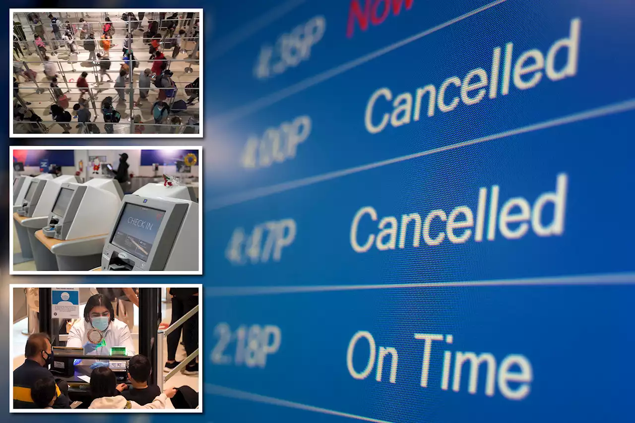 Nearly 2,000 flights cancelled after New Year’s holiday during travel chaos