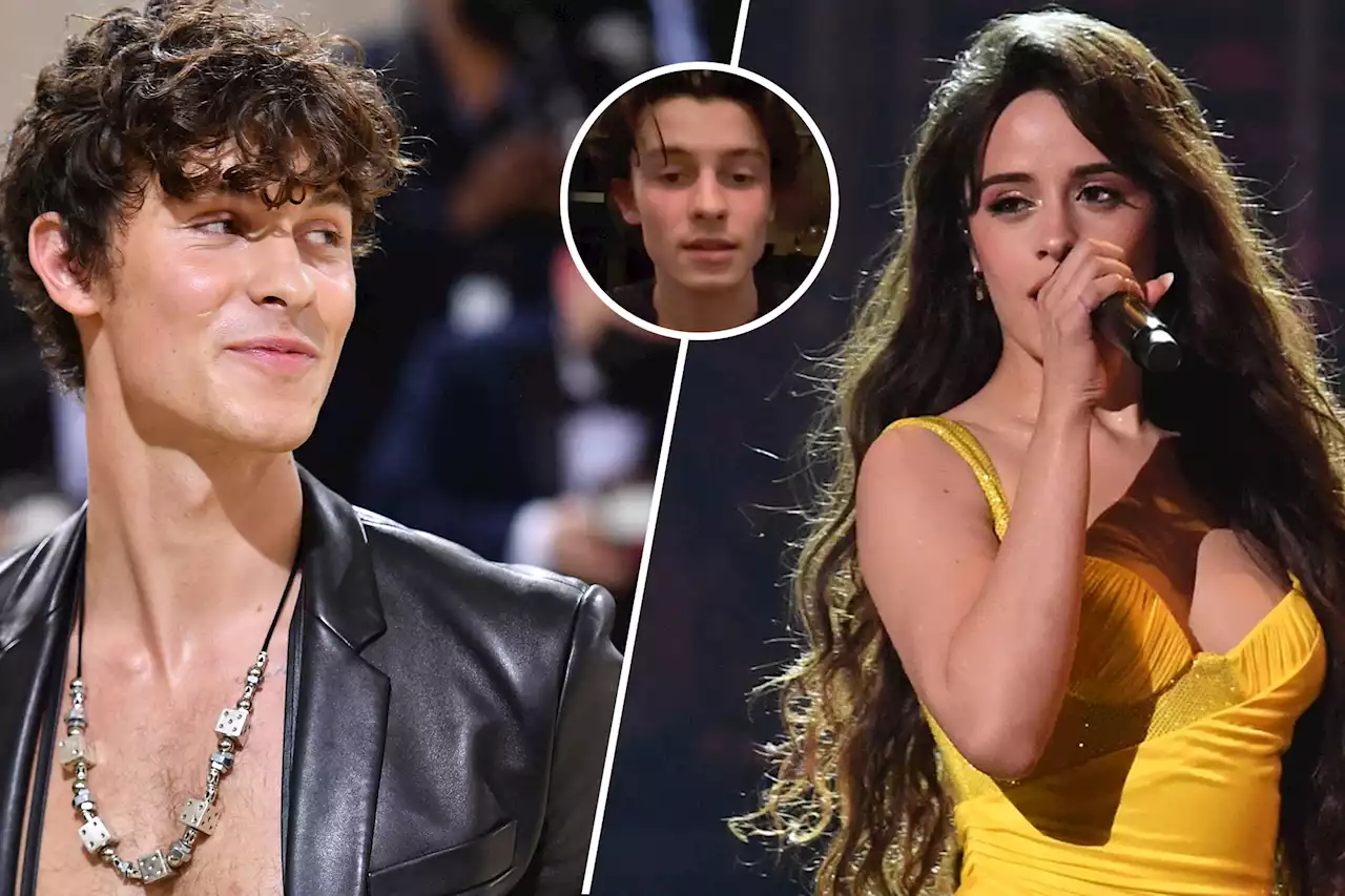 Shawn Mendes is ‘having a hard time on social media’ following Camila Cabello split