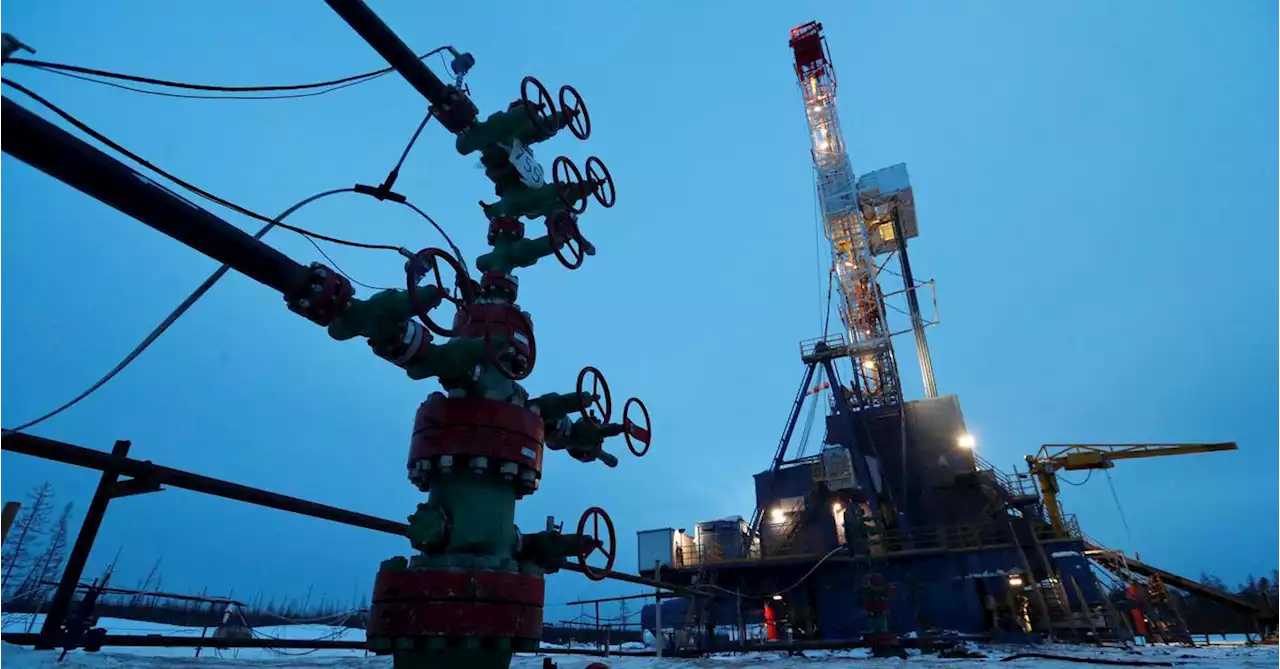 Russian annual oil output recovers in 2021 after slump