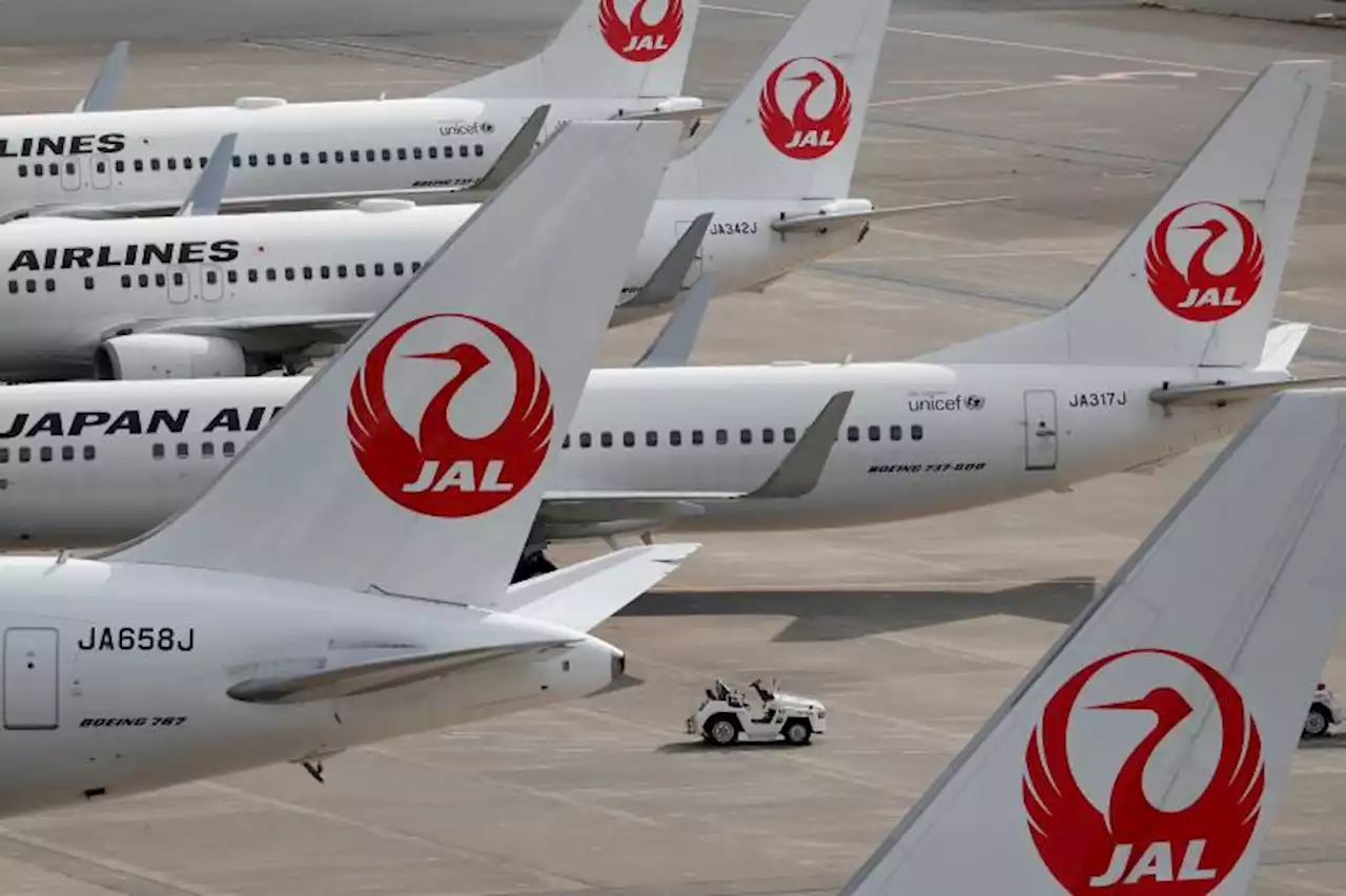 Pandemic-hit Japanese airlines expand horizons in search of profit