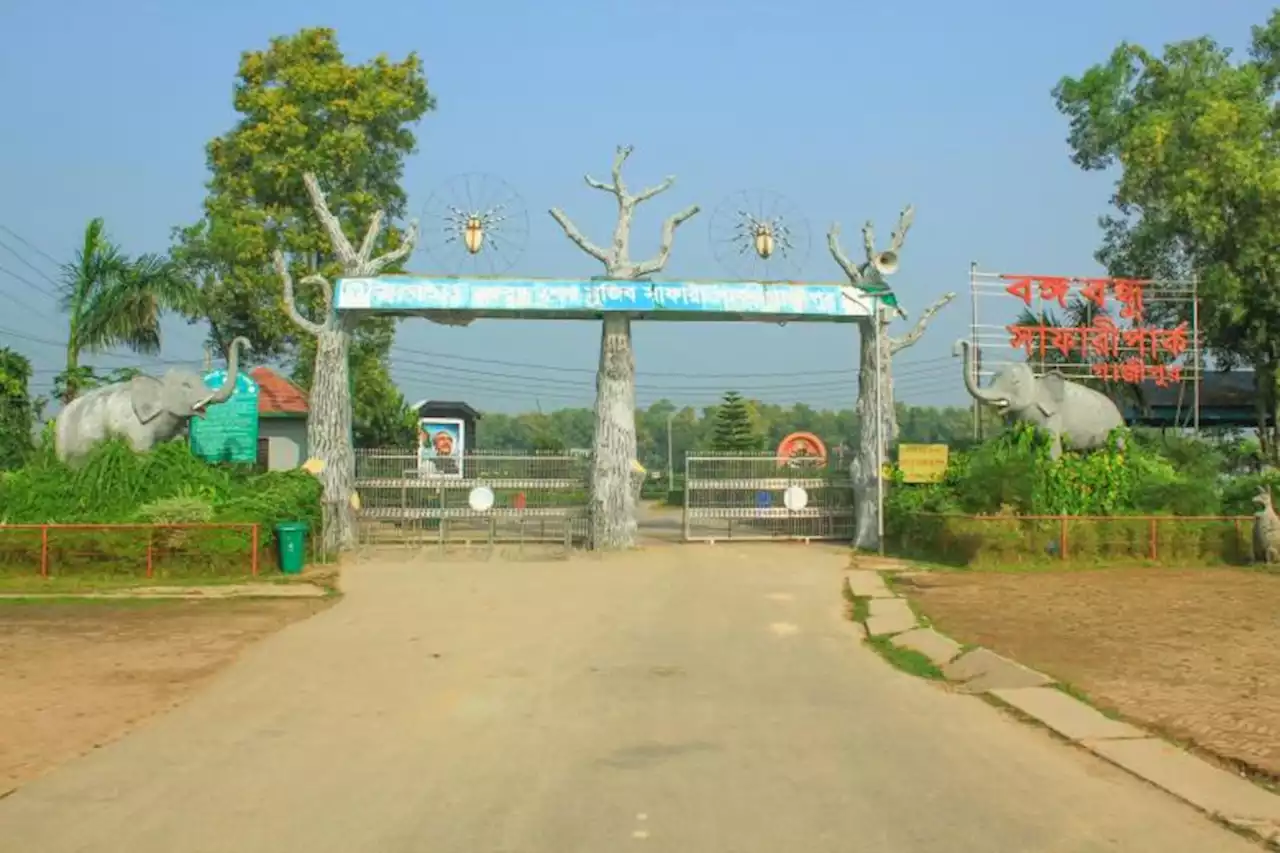 Runaway frenzied elephant herd breaks into Bangladesh park