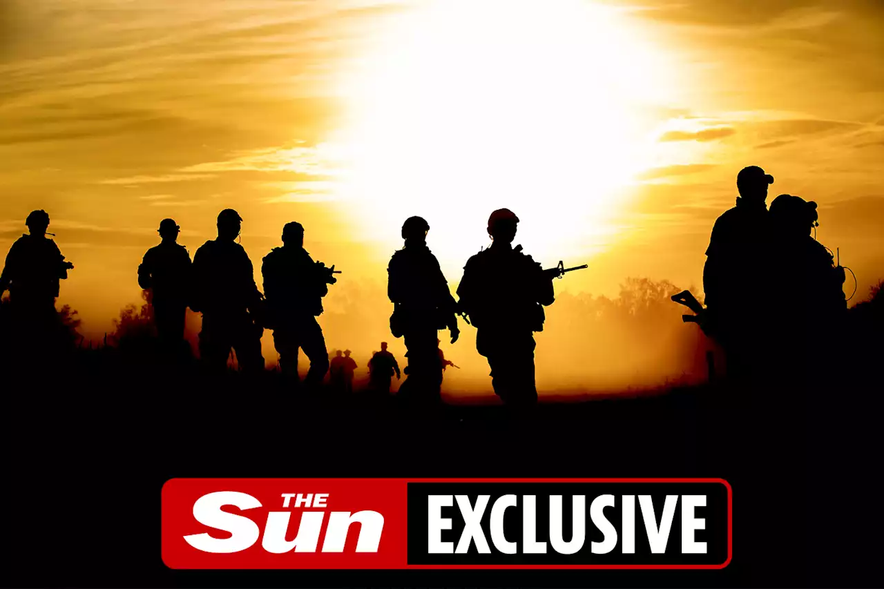 Armed Forces face crisis with almost one in five personnel not fit to fight