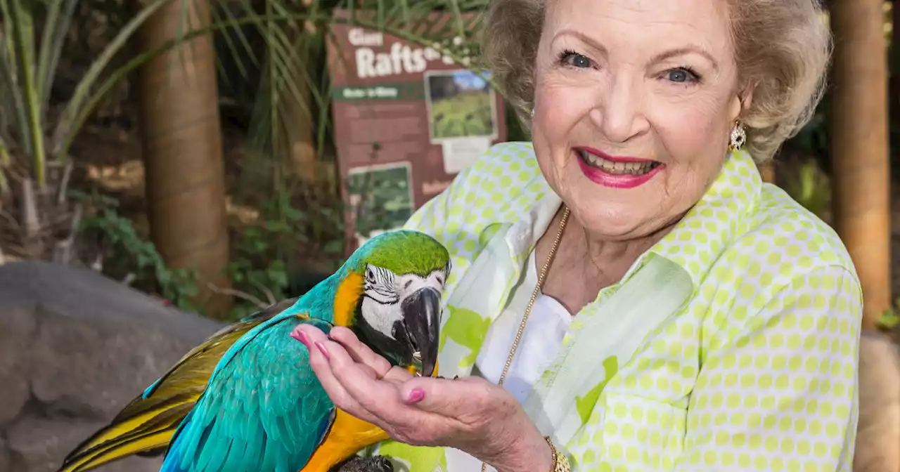 One of Betty White's greatest legacies is helping animals