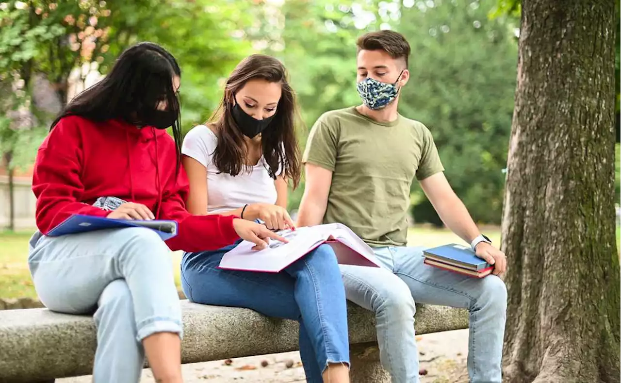 La educación en la mira: ¿para qué trabajos forma la escuela?