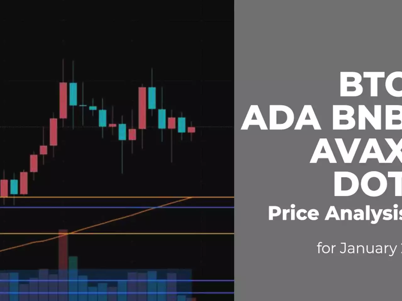 BTC, ADA, BNB, AVAX and DOT Price Analysis for January 2