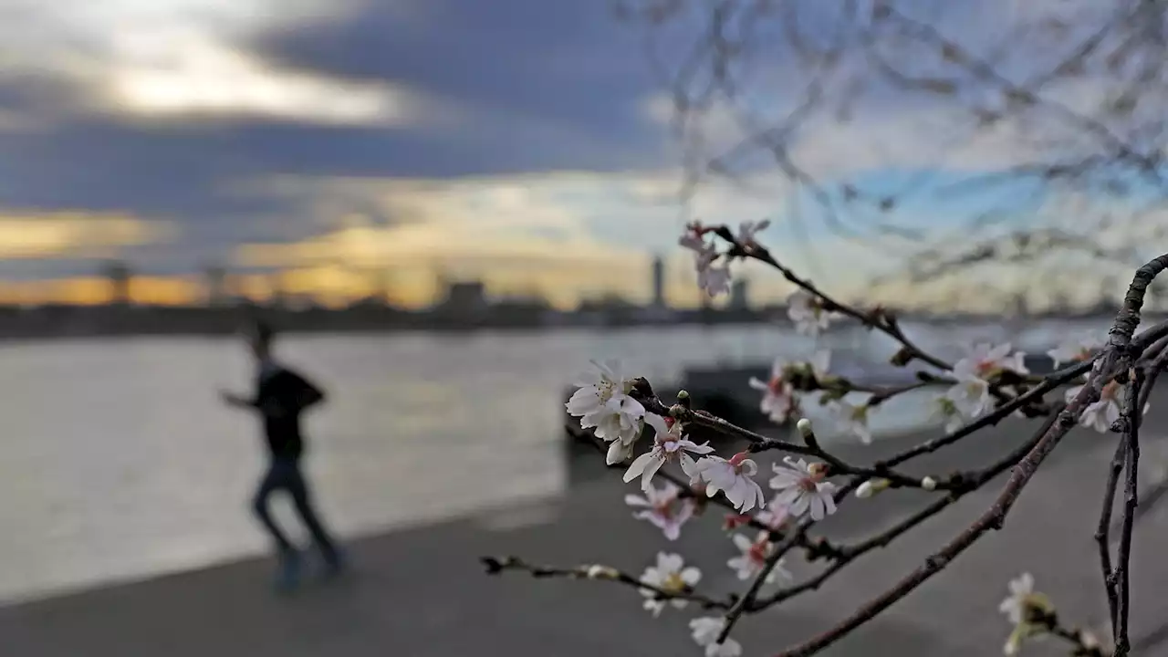 Start ins neue Jahr: Auf Frühling folgt Winter