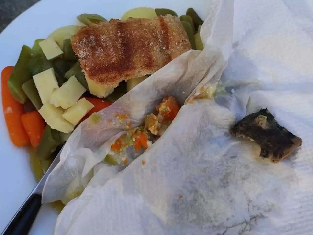 ‘I saw two eyes looking at me’: Spanish man eats rat he thought was an artichoke