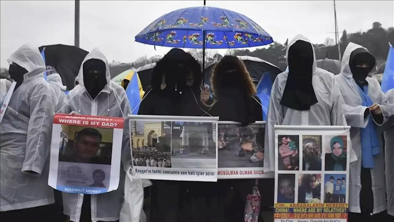 'النواب' الفرنسي يدين 'إبادة' الأويغور في الصين