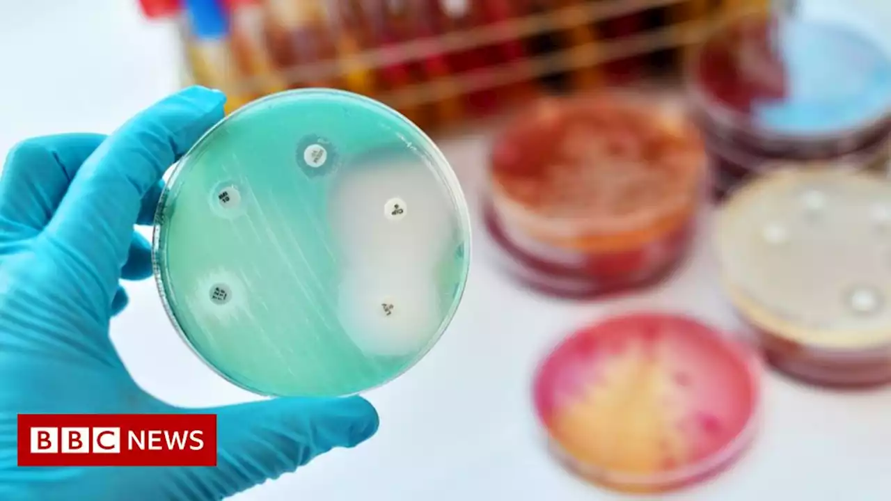 Millions are dying from drug-resistant infections, global report says