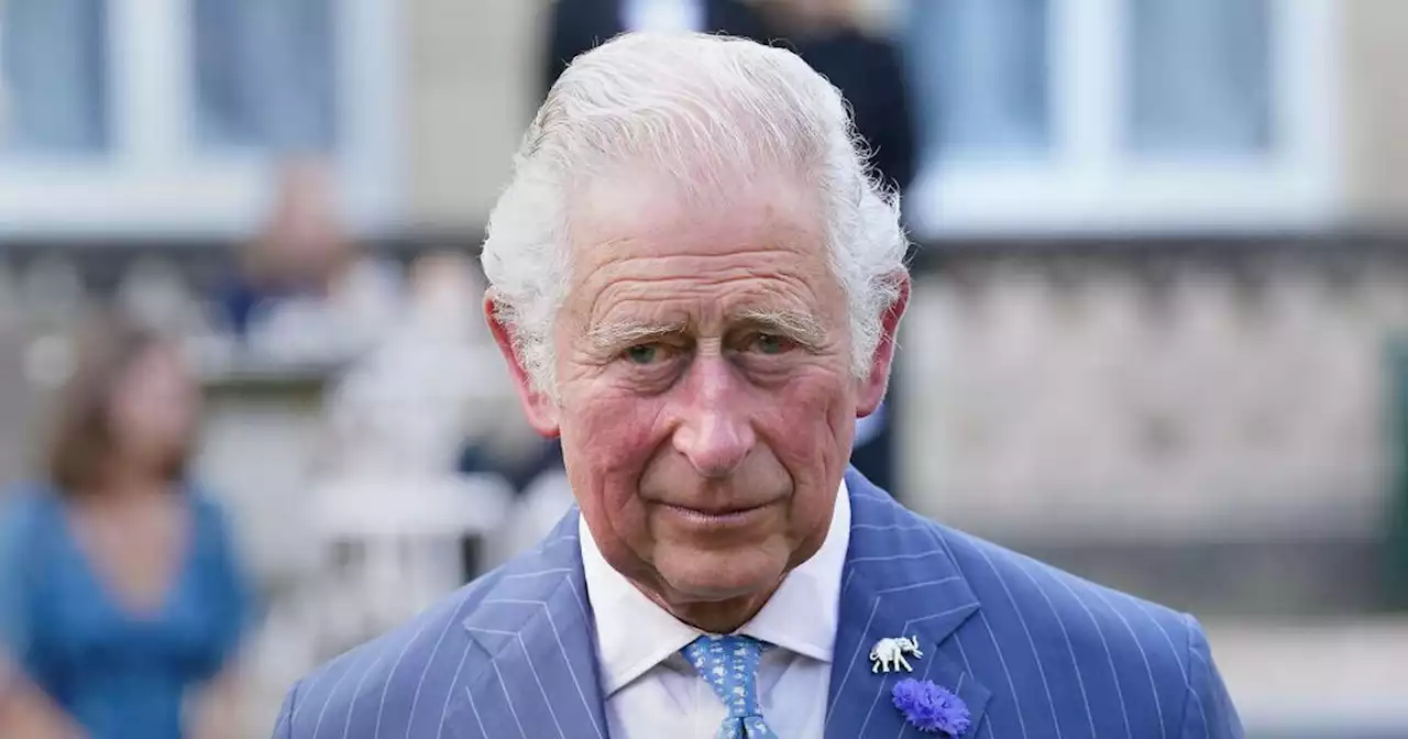 School children 'banned' from asking Prince Charles about sleeping arrangements