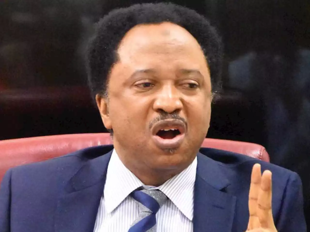 Shehu Sani reacts as court orders FG to pay Nnamdi Kanu N1 billion