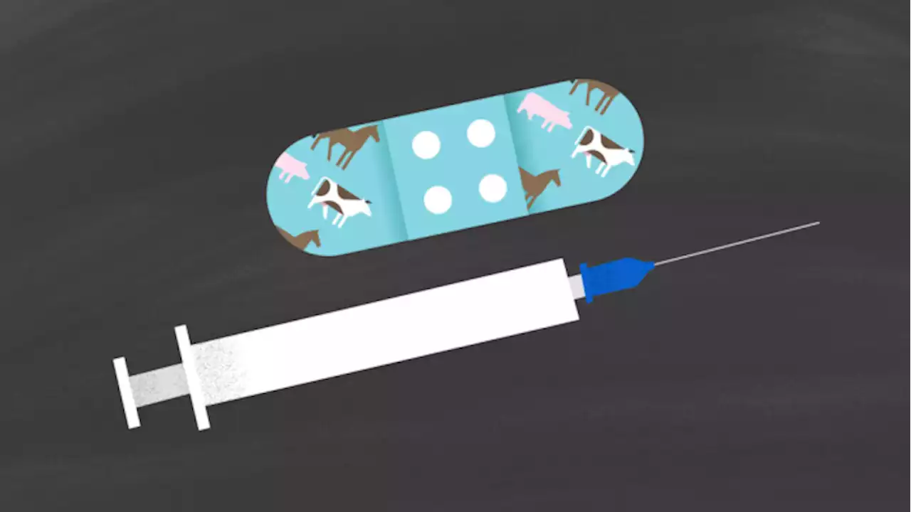 Børnelæger opfordrer myndigheder til at genoverveje vacciner til børn mellem 5 og 11 år