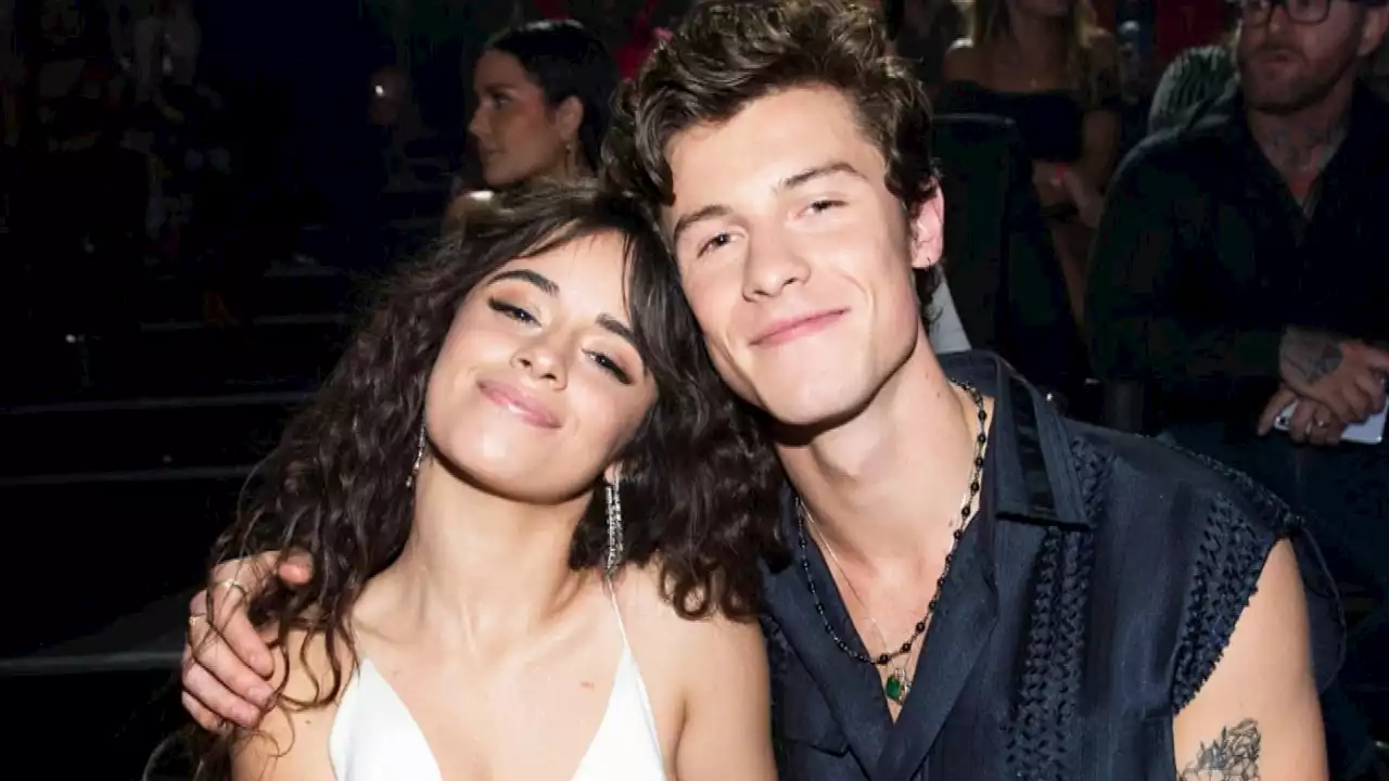 Camila Cabello Reacts to Shawn Mendes Teasing His Post-Breakup Music