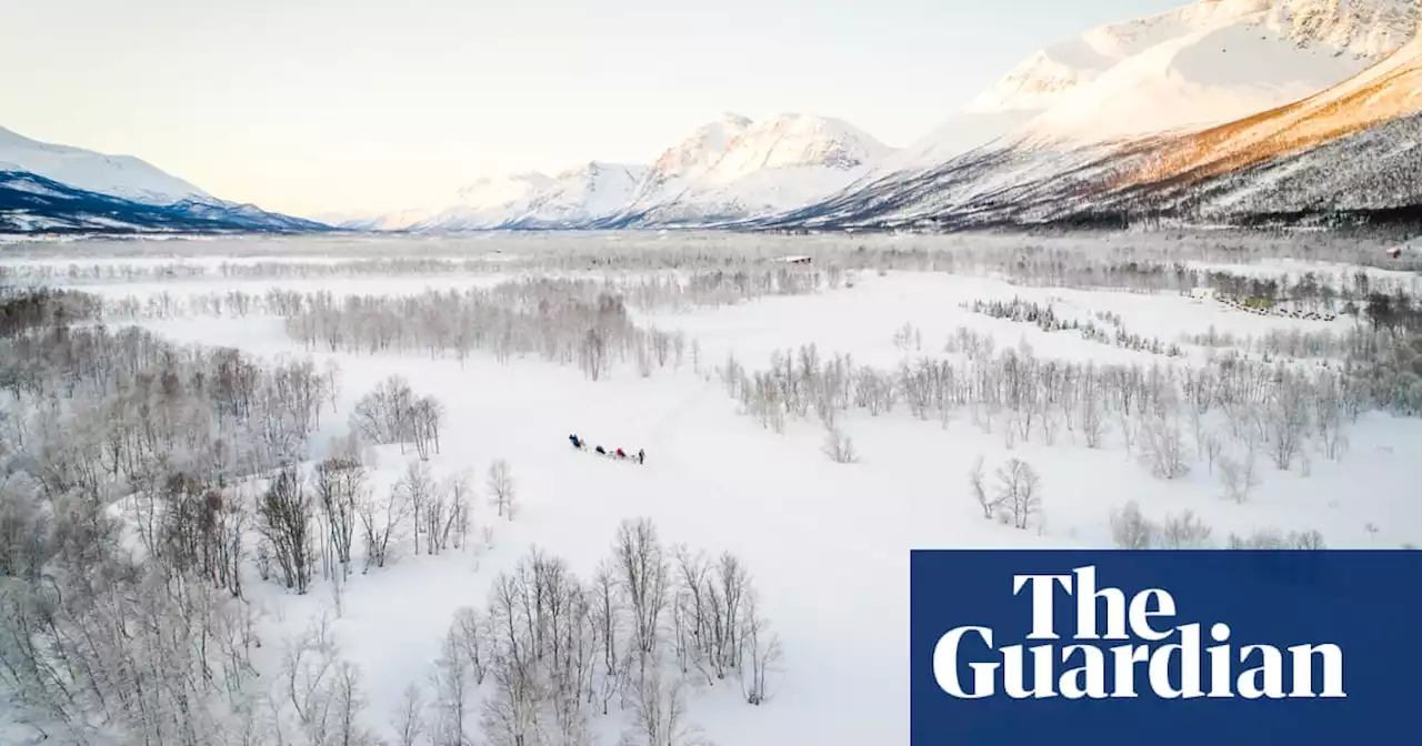 ‘The treeline is out of control’: how the climate crisis is turning the Arctic green