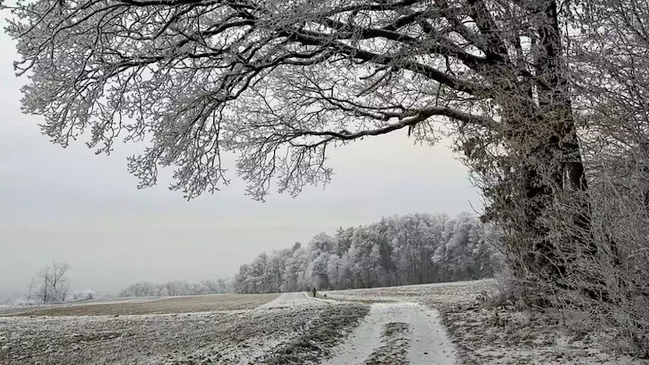 Molina de Aragón, en Guadalajara, marca la temperatura mínima de España con -8,8 grados