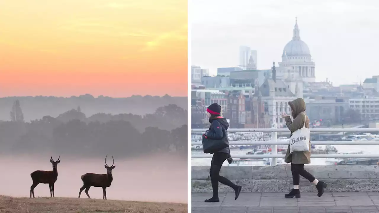 Temperatures set to plummet as UK heads for coldest night of winter so far