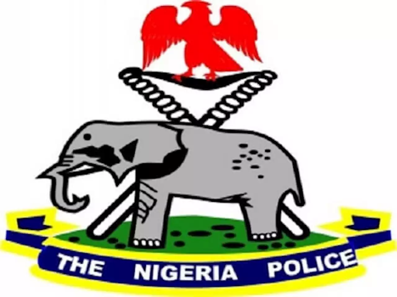 Insecurity: Police to convene retreat for senior officers - Punch Newspapers