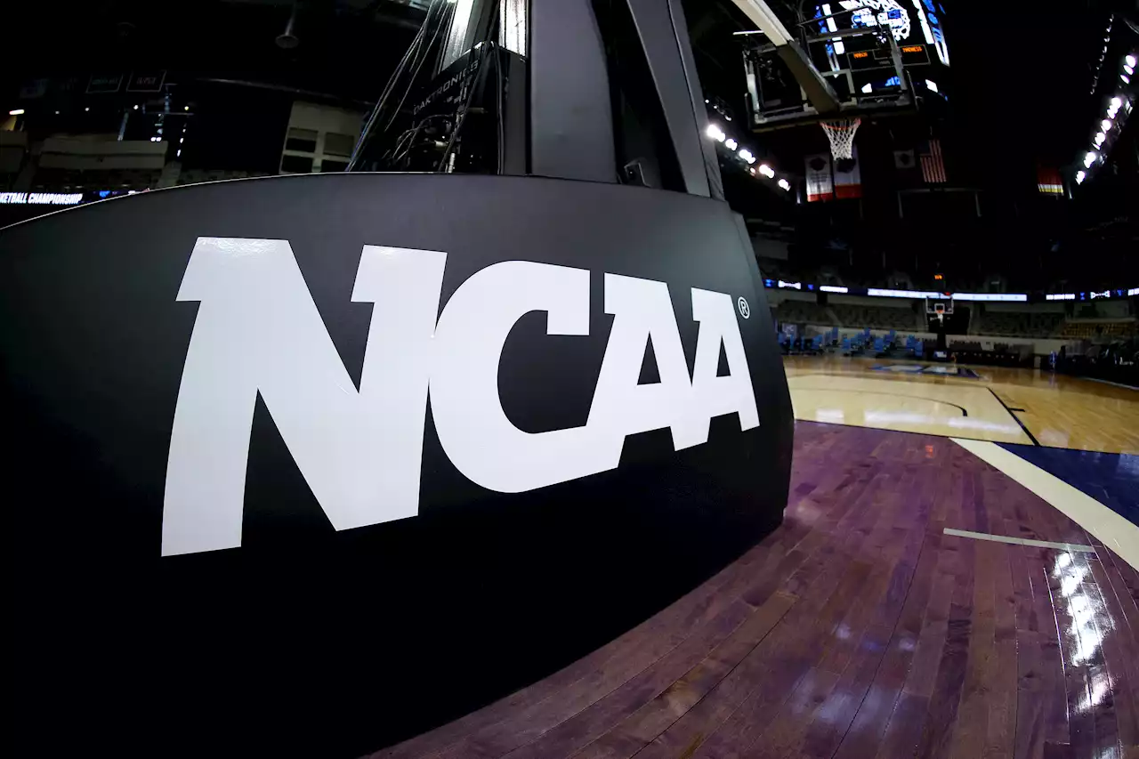 NCAA Says Each Sport Can Have Its Own Policy for Transgender Athletes