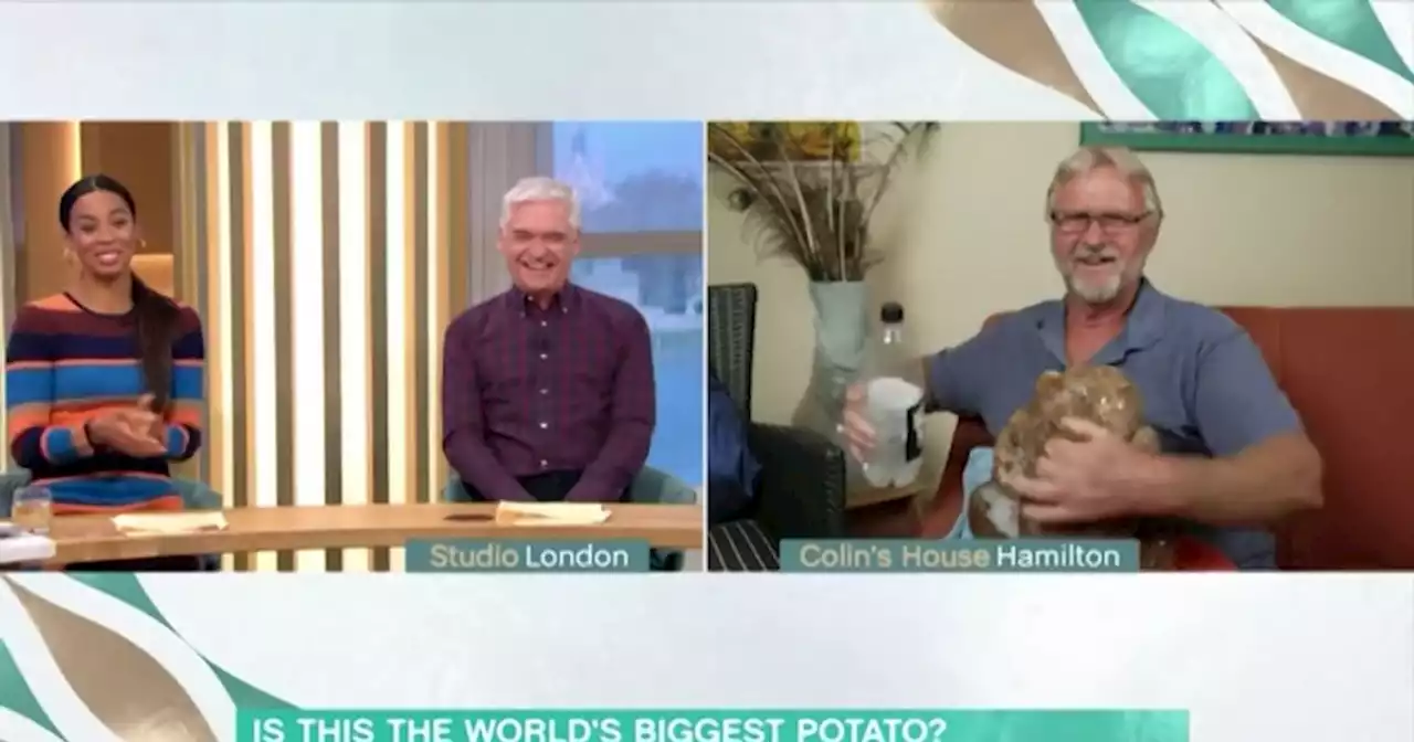 This Morning fans go wild over ITV show's ‘world’s biggest potato’ interview