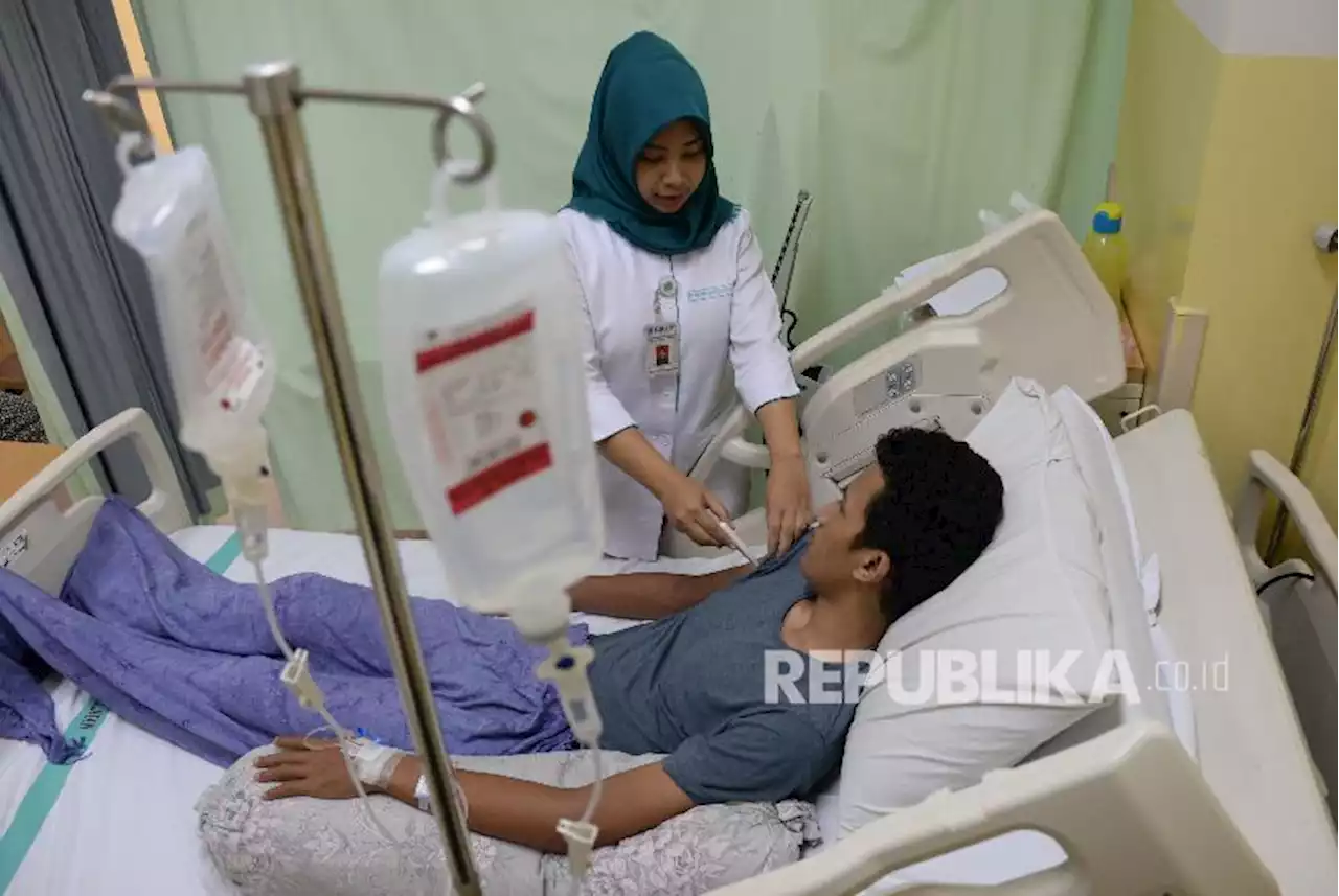 Jumlah Kasus DBD di Kota Malang Meningkat |Republika Online