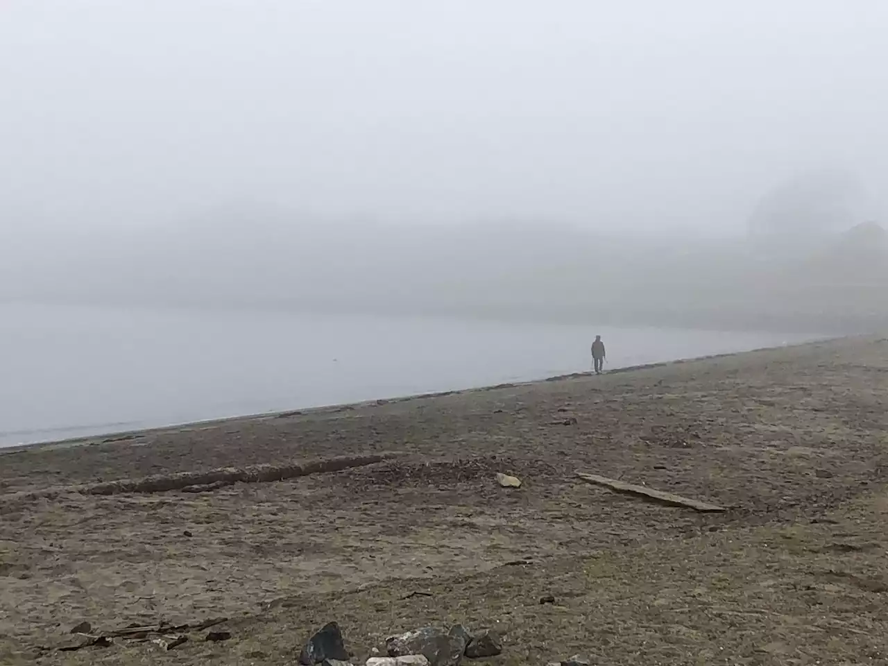 Tule fog from Central Valley pours into San Francisco Bay Area