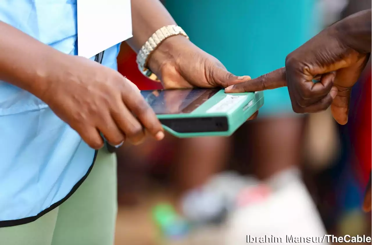 How Nigerian youths can have their way in 2023 | TheCable