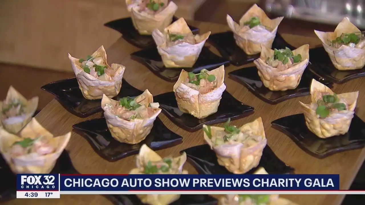 Chicago Auto Show previews charity gala