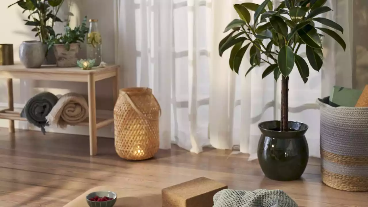 Søstrene Grene’s new wellness-focused collection is the perfect way to brighten up a dull January