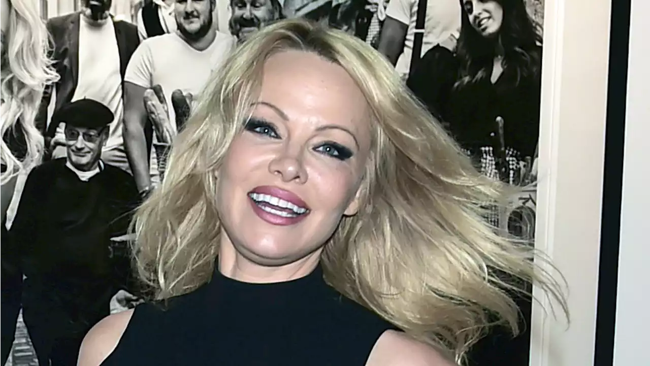 Pamela Anderson and Husband Dan Hayhurst Break Up After One Year of Marriage