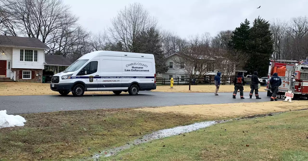 Police find 124 caged snakes in dead man's Maryland home