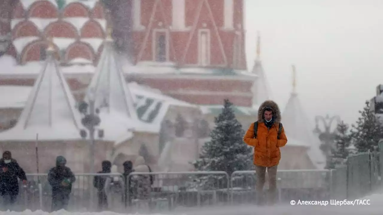 Снегопады в Московском регионе прекратятся к 23 января