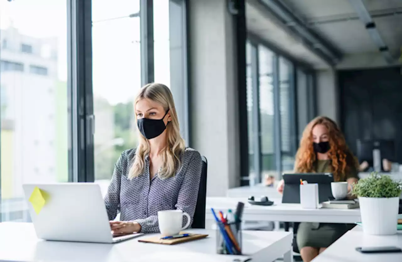 People working from home can return to offices 'on a phased basis' from next week
