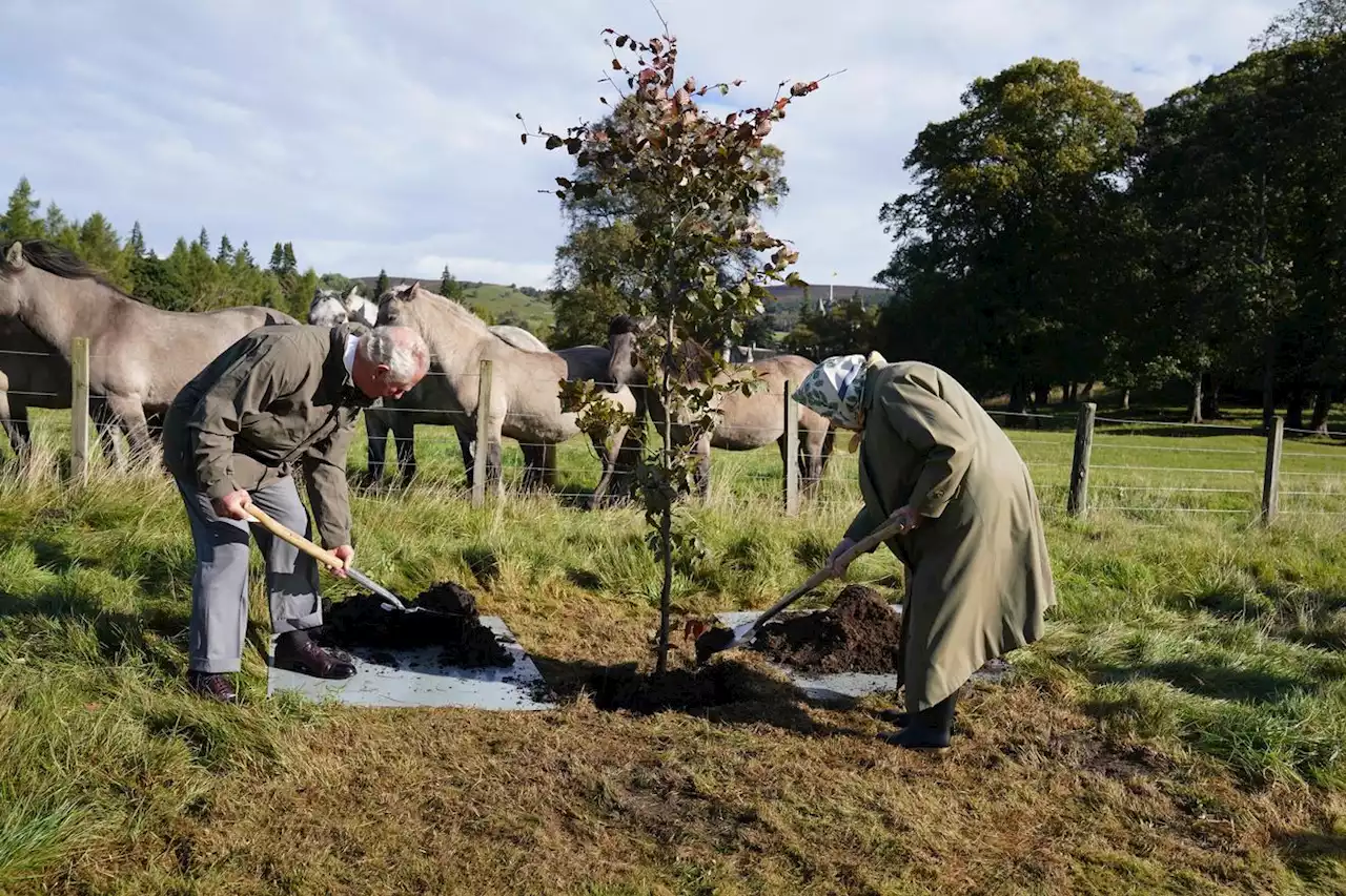 The Rise Of Plastic Offset Schemes, Dearth Of Corporate Carbon Disclosures, And A Chat About Planting Trees