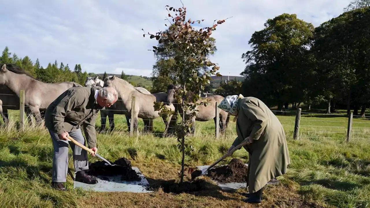 The Rise Of Plastic Offset Schemes, Dearth Of Corporate Carbon Disclosures, And A Chat About Planting Trees