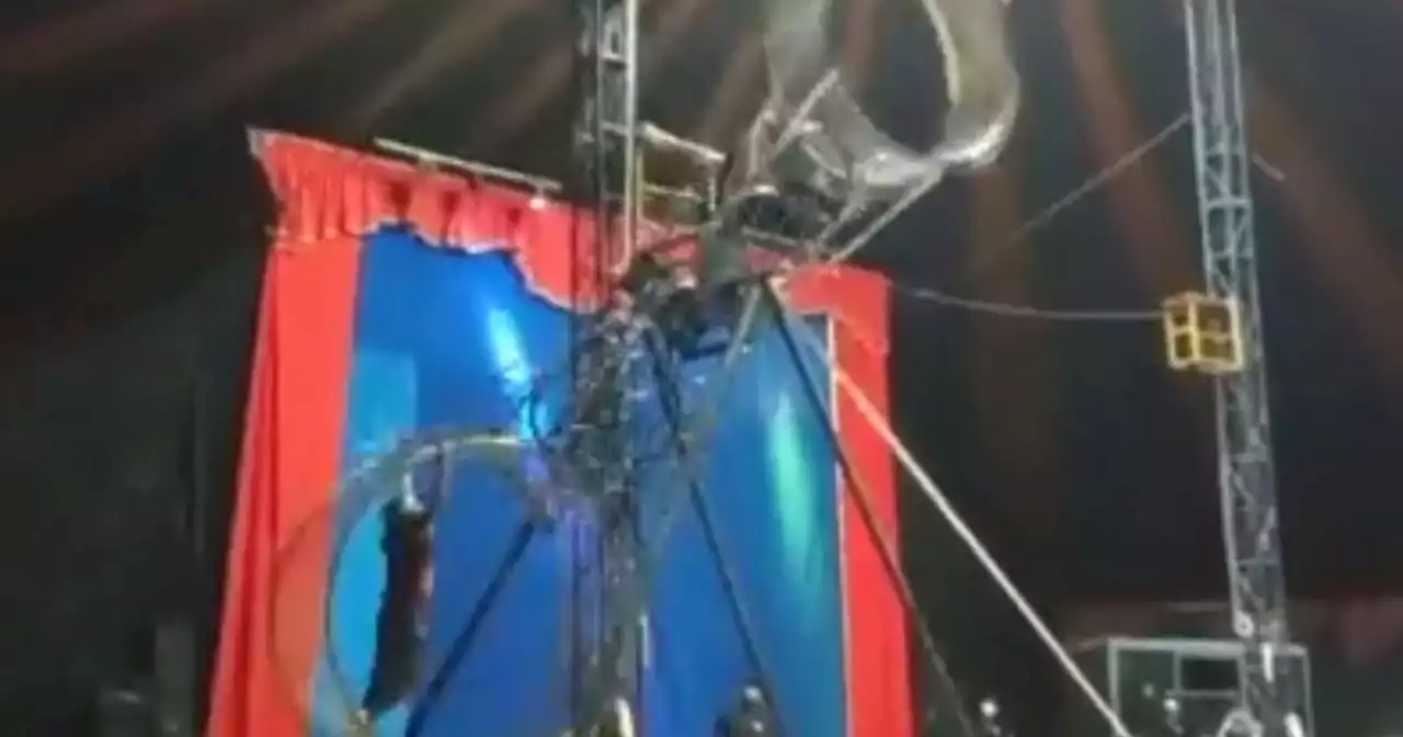 Impactante video: trapecista sufrió caída en medio de su presentación al perder el equilibrio