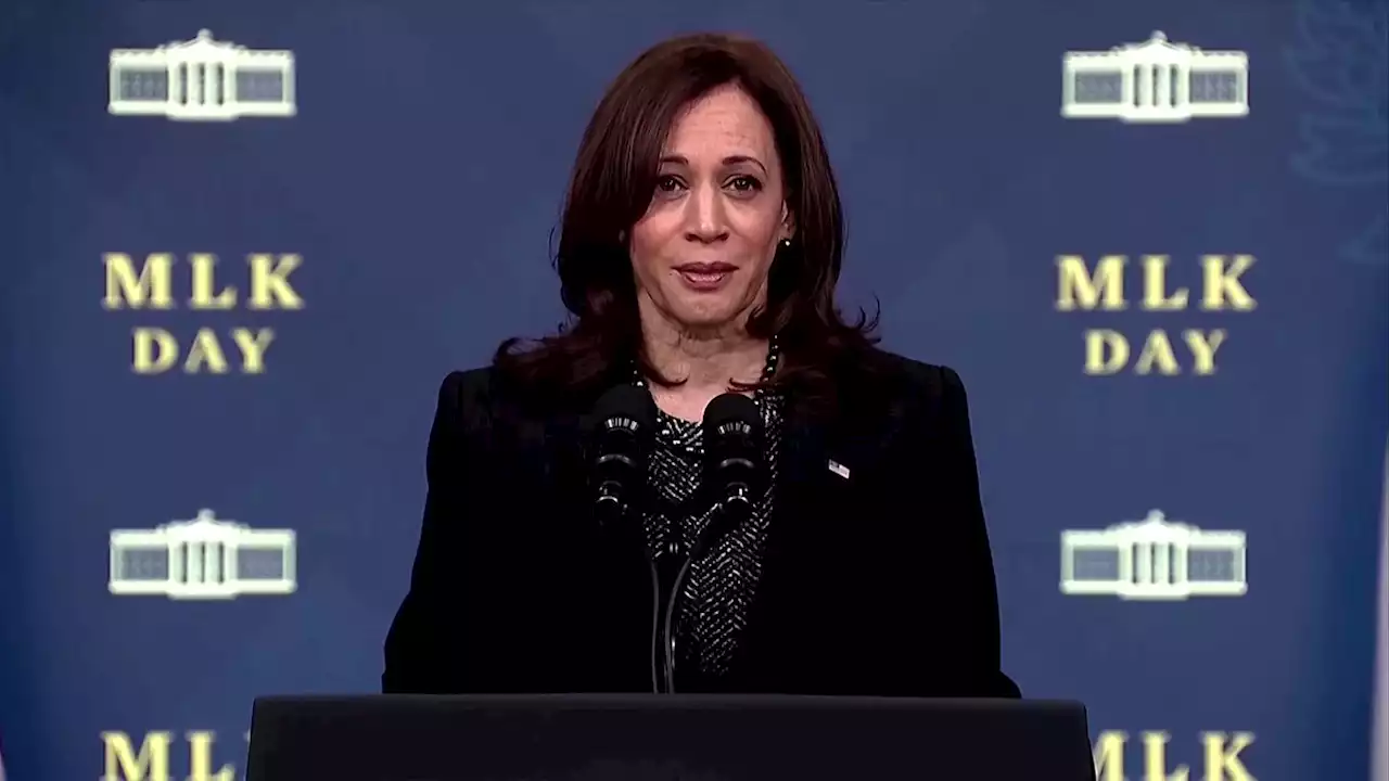 Martin Luther King's family, Vice President Harris urge action for voting rights