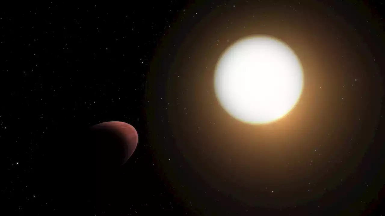 CHEOPS Spots Tidally Deformed Planet around WASP-103 | Sci-News.com