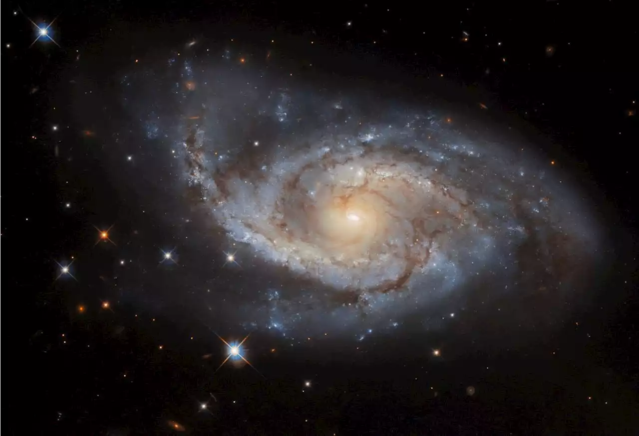 NASA Releases Amazing New Photo of NGC 3318 | Sci-News.com