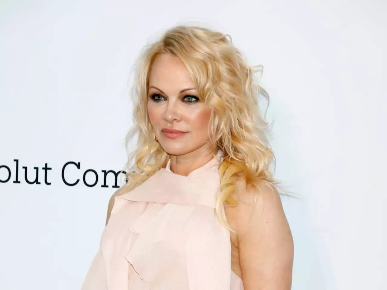 Pamela Anderson Is Reportedly Divorcing Her Husband Over 'Unkind and Unsupportive' Behavior